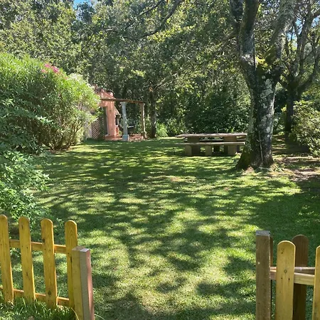 Brandian 17 ア・グアルダ