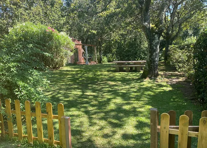 Brandian 17 A Guarda